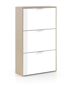 Alternative view of Zapatero 3 Puertas Abatibles Caprizzio